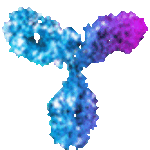 cropped-Detect-1D-Logo-Animation-Any-BG-3-150×150